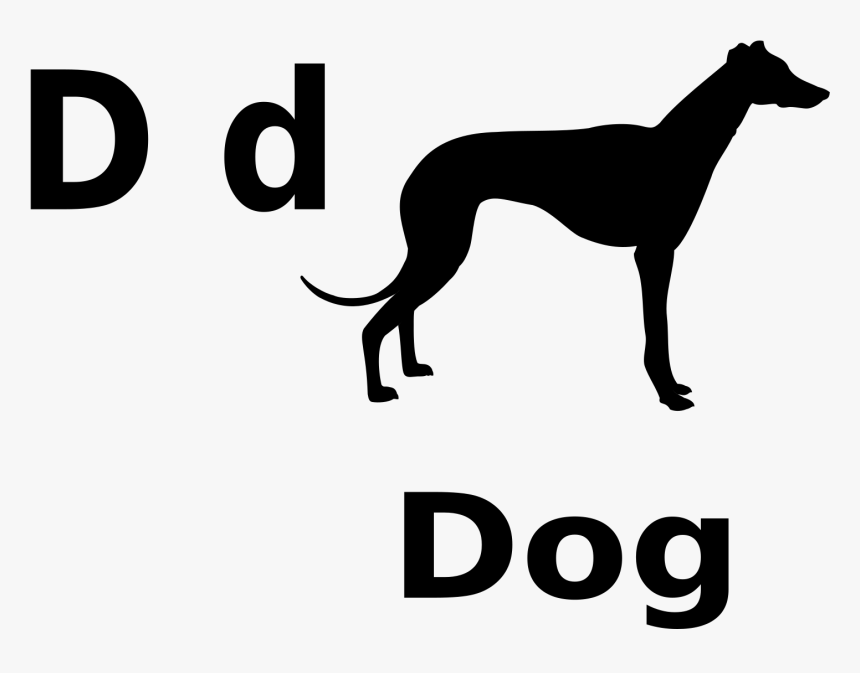 D For Dog Clip Arts - Greyhound Png, Transparent Png