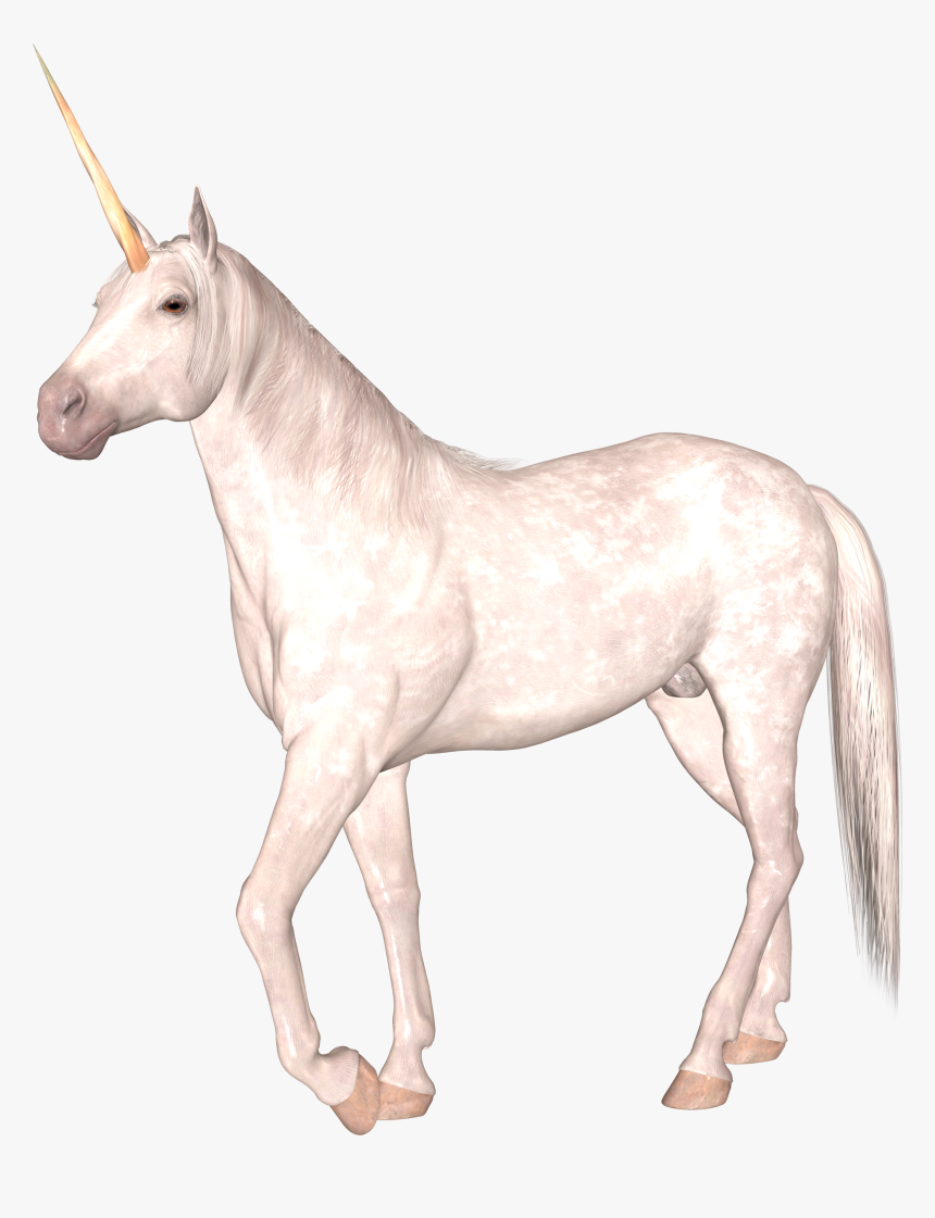 Unicorn Knight Langrisser Zerida, HD Png Download