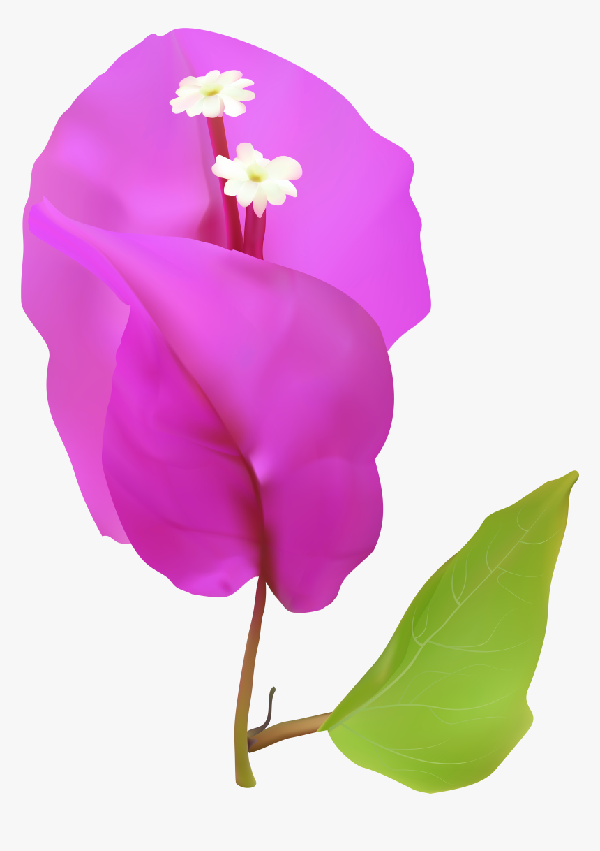 Portable Network Graphics, HD Png Download