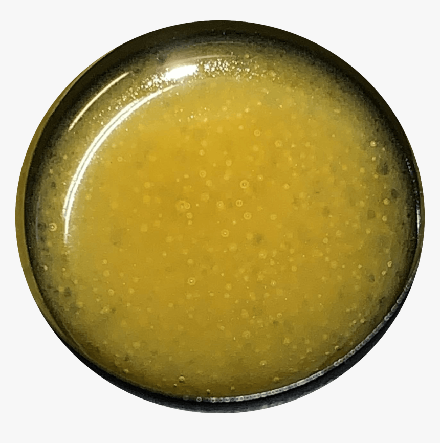 Circle, HD Png Download