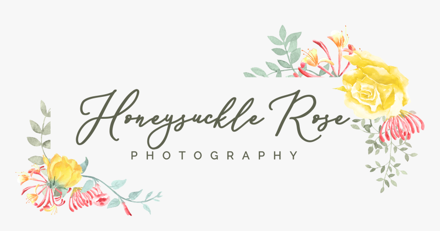 Honeysuckle Png, Transparent Png