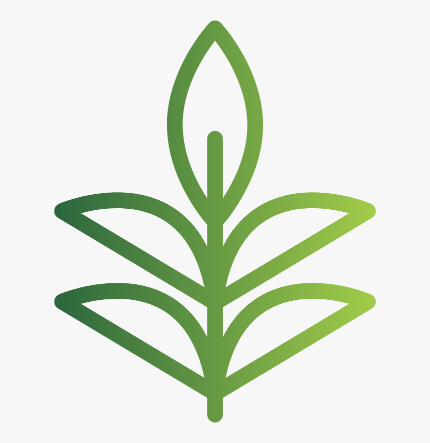 Herbaceous Plant, HD Png Download