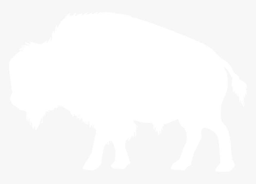Transparent Buffalo Silhouette Png - Outline Of A Bison, Png Download