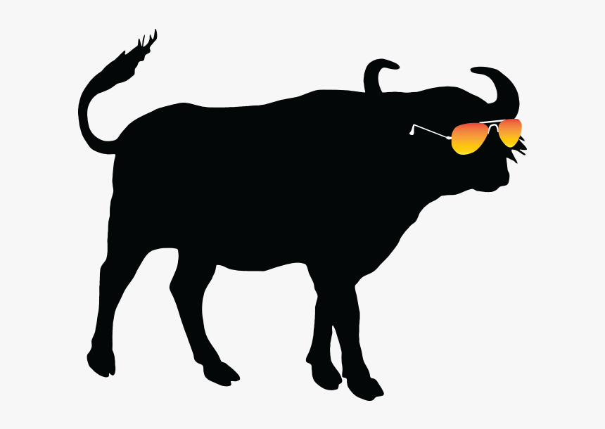 Summer Buffalo Summer Buffalo - Buffalo Silhouette, HD Png Download