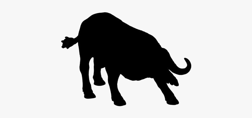 African Buffalo Png Image Clipart - Portable Network Graphics, Transparent Png