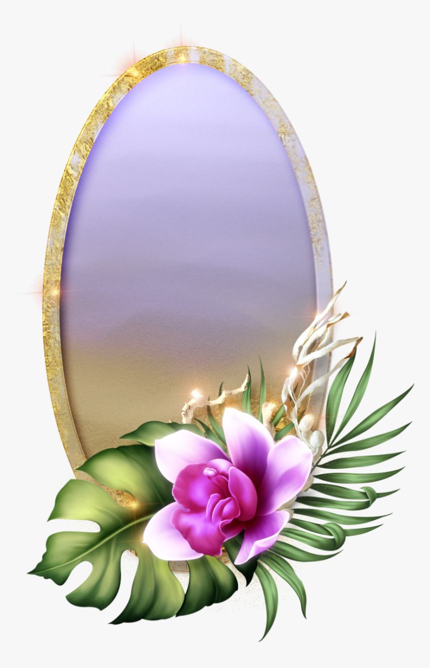 Back To Tropics Mom - Cattleya, HD Png Download