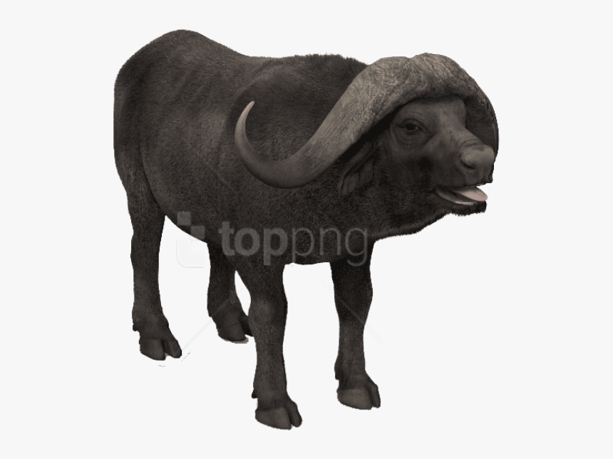 Statue,bovine,working And White,water Buffalo,sculpture,bull - Bull, HD Png Download