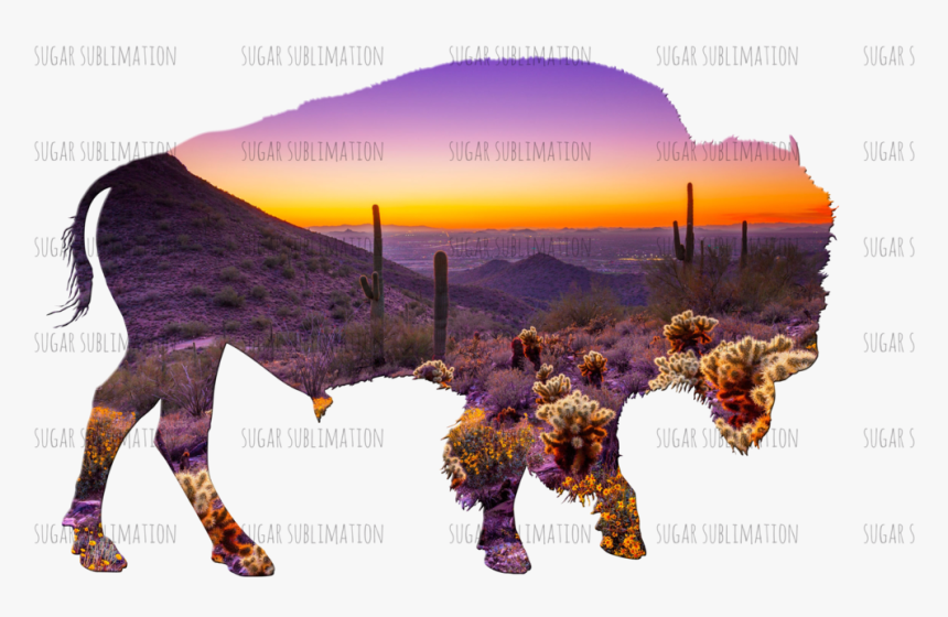 Beautiful Arizona Desert, HD Png Download
