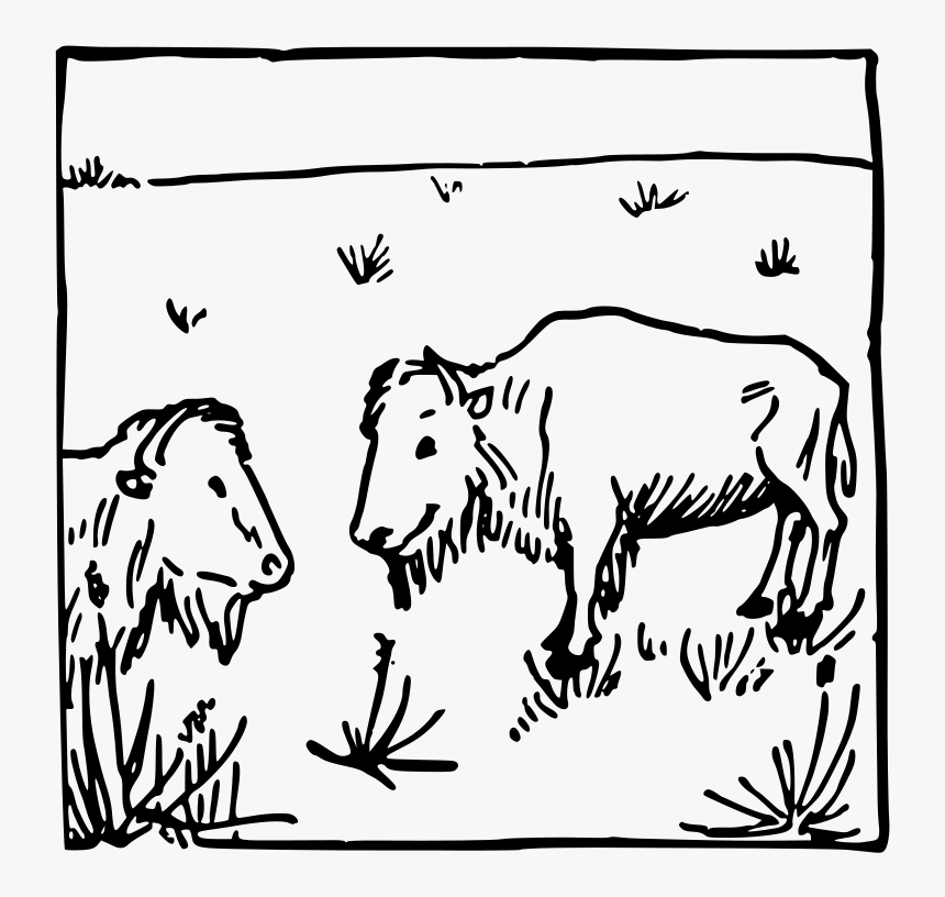 Two Buffalo - Line Art, HD Png Download