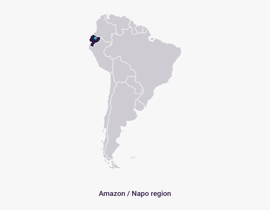 Amazon - Napo Region - 中南 美洲 人 種 分佈, HD Png Download