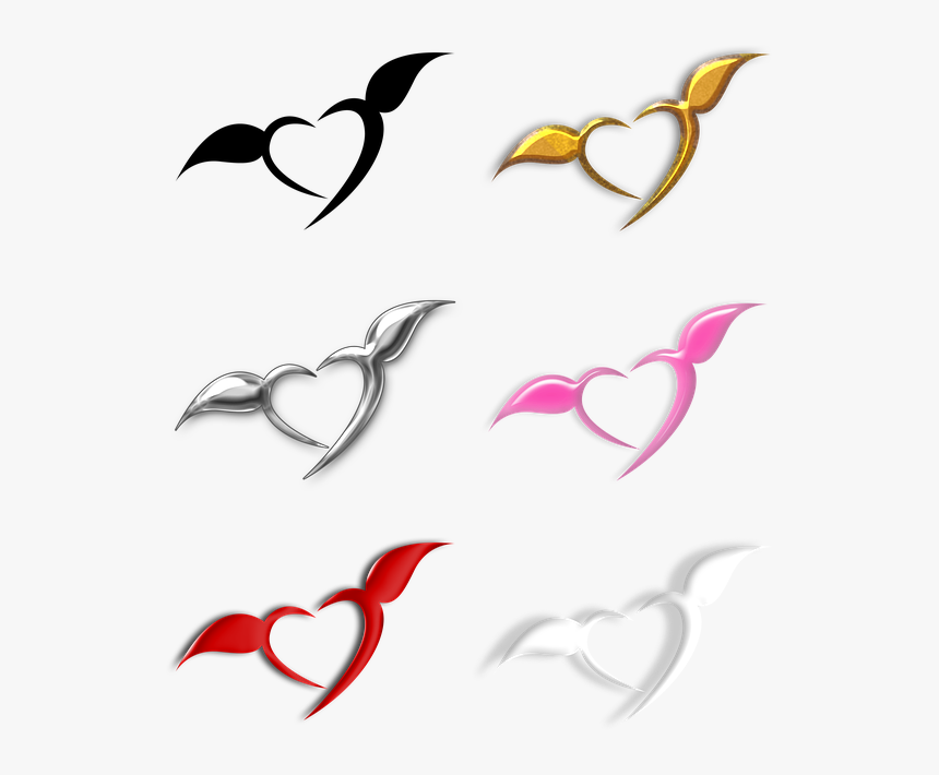 Vector Ornamentation Chalkboard, HD Png Download