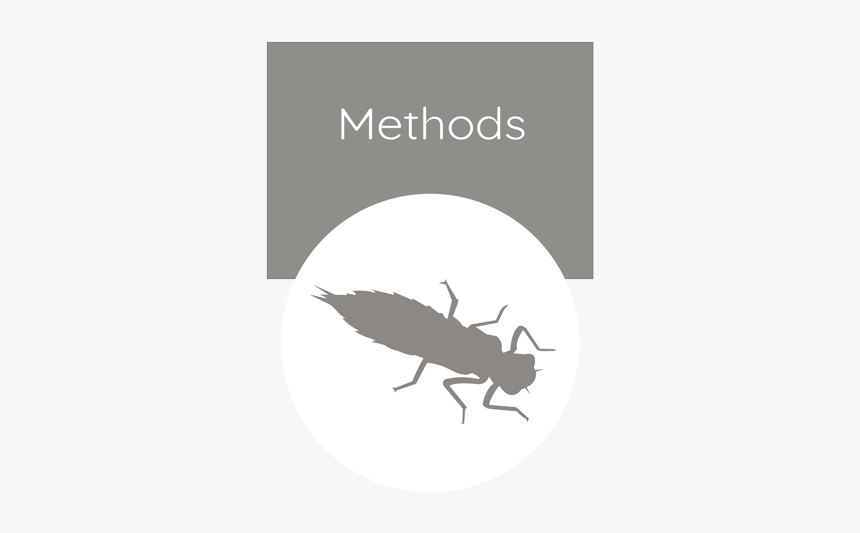 Methods - Weevil, HD Png Download