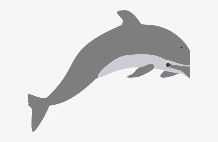 Clip Art Royalty Free Clipart Of Dolphins Jumping - Dolphin Clip Art, HD Png Download