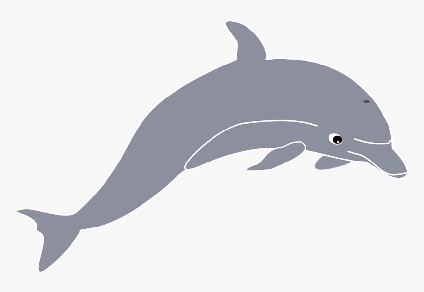 Dolphin Clip Art, HD Png Download