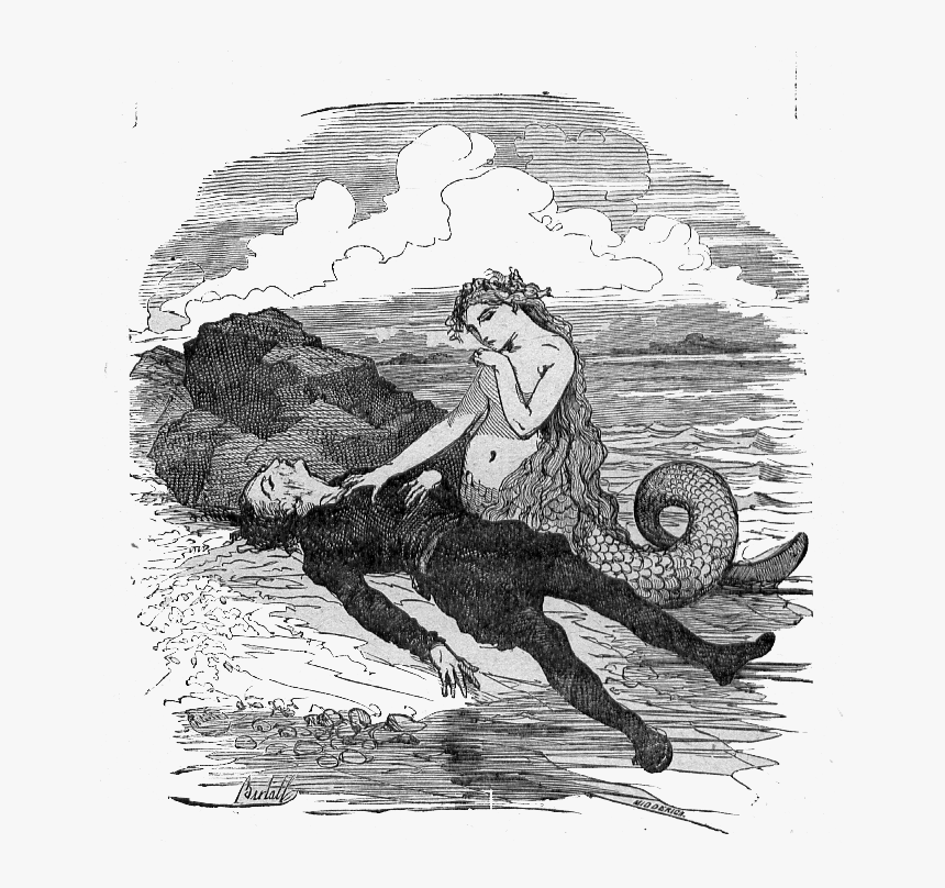 Original True Story The Little Mermaid, HD Png Download