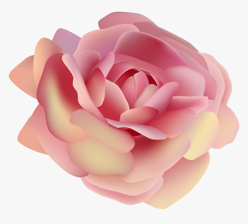Garden Roses, HD Png Download