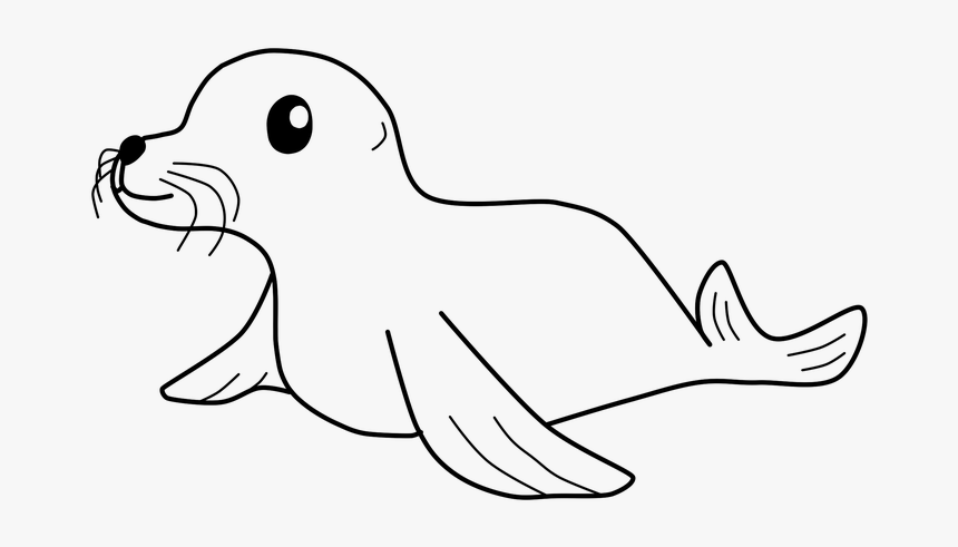 Seal, Cute, Mammal, Wildlife, Adorable, Marine, Aquatic - Seal Images Black And White, HD Png Download