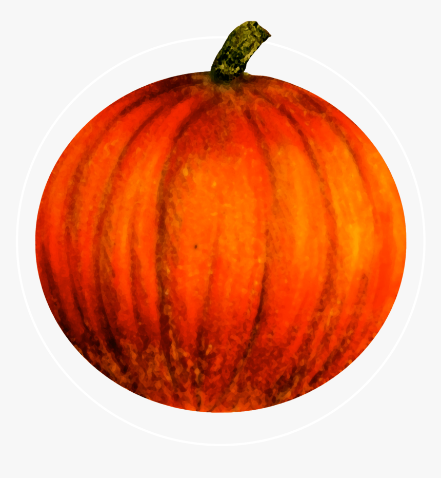 Attribute Motif Pumpkin White - Pumpkin, HD Png Download