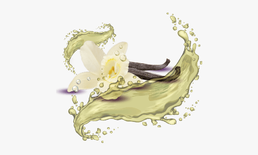 French Vanilla, HD Png Download