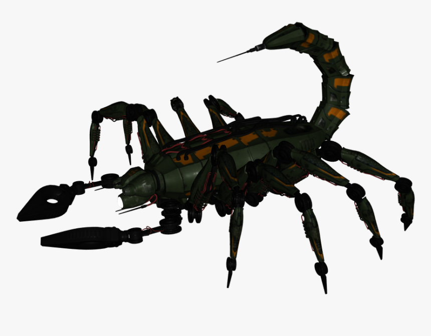 Insect, HD Png Download