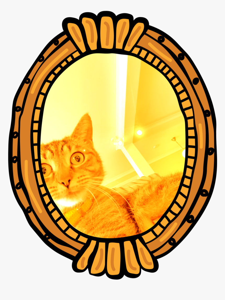 Cat Frames - Retro Round Banner, HD Png Download