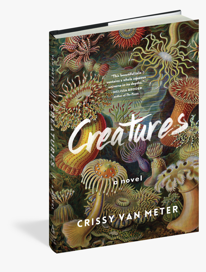 Cover - Creatures Van Meter Algonquin, HD Png Download