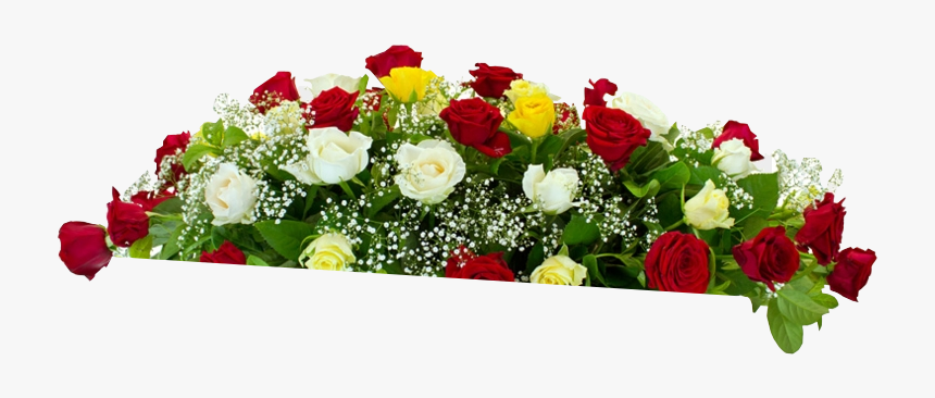 Garden Roses, HD Png Download