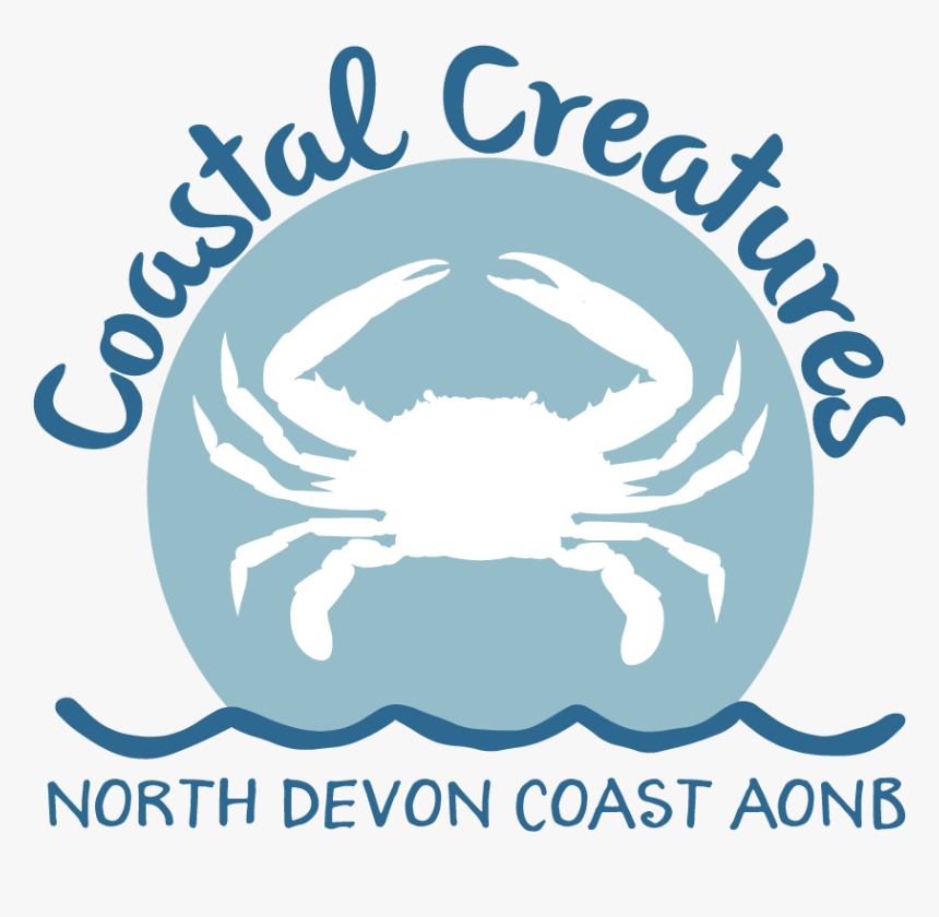 Dungeness Crab, HD Png Download