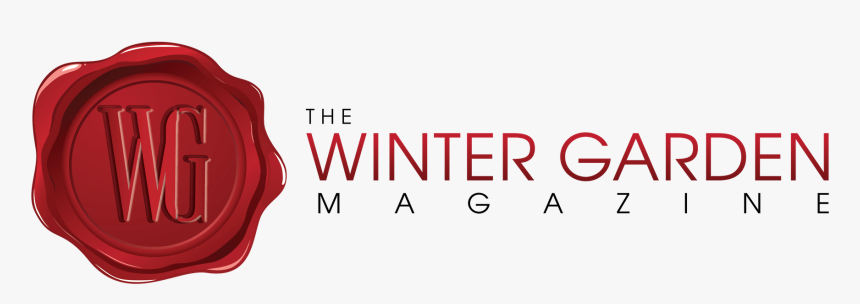 Winter Garden Magazine - Guitar String, HD Png Download