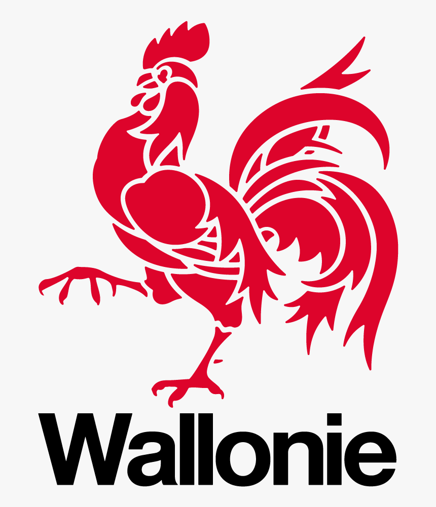 Logo De La Wallonie - Logo Wallonie, HD Png Download