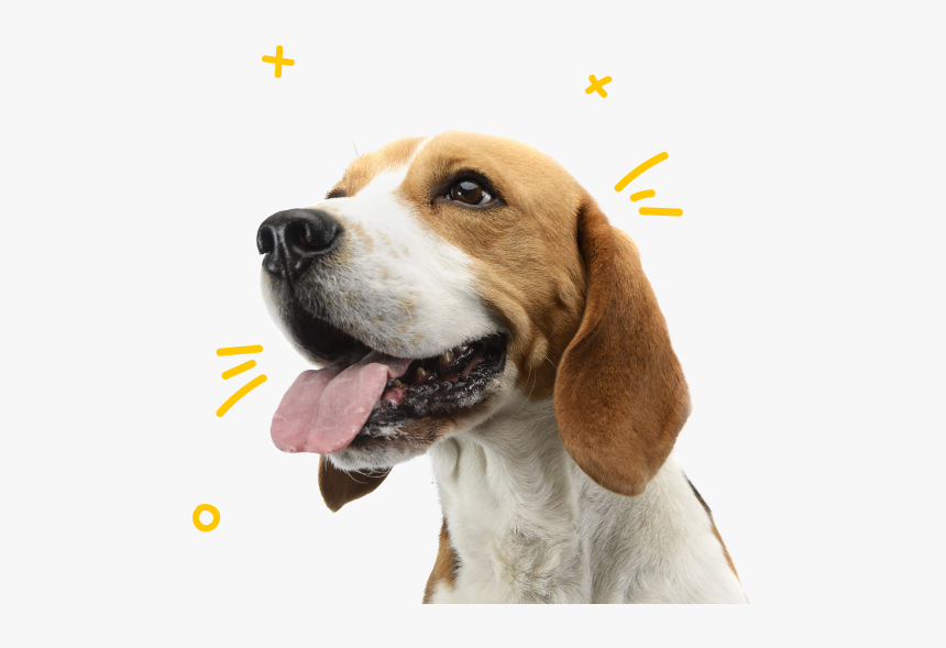 Flare - Drawing, HD Png Download