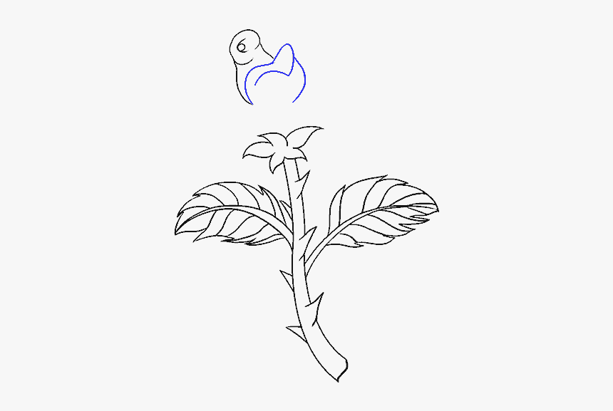 Drawing Png Rose - Draw A Flower Stem With A Leaf, Transparent Png