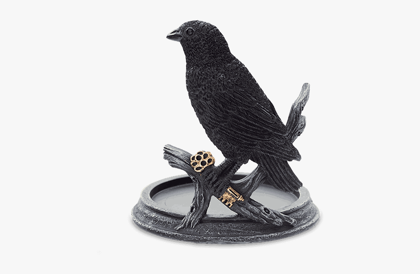 Raven Wrap Warmer - Scentsy Raven Warmer Wrap, HD Png Download