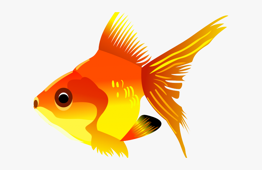 Clipart Fish, HD Png Download