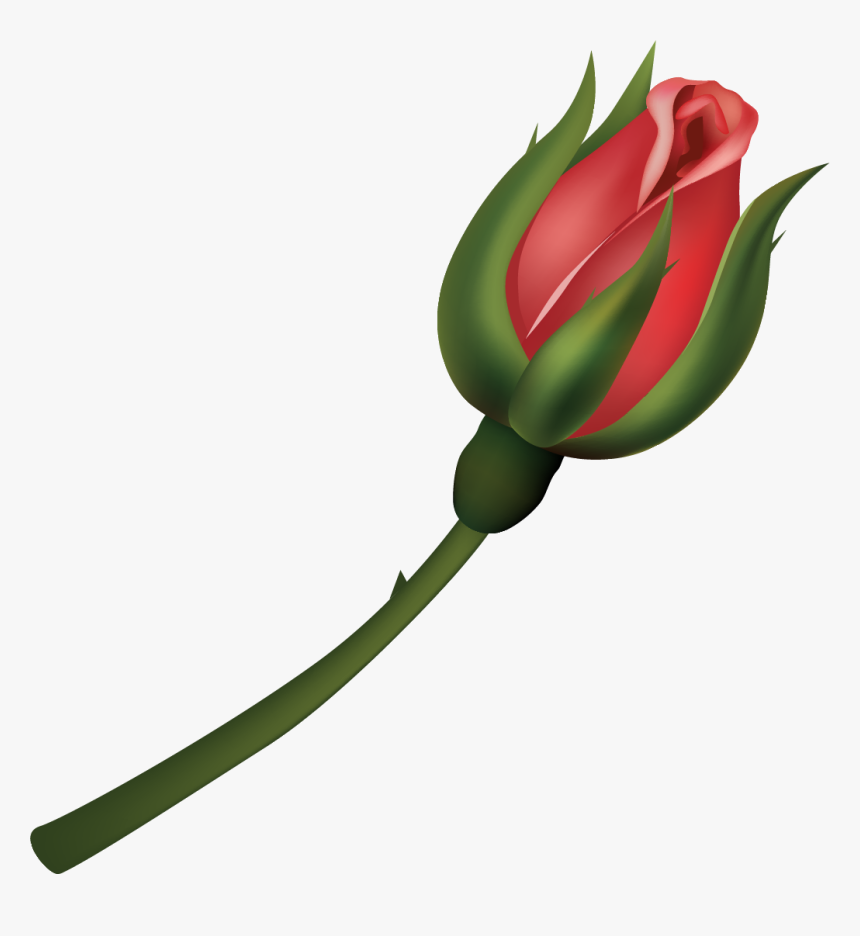 Floribunda, HD Png Download