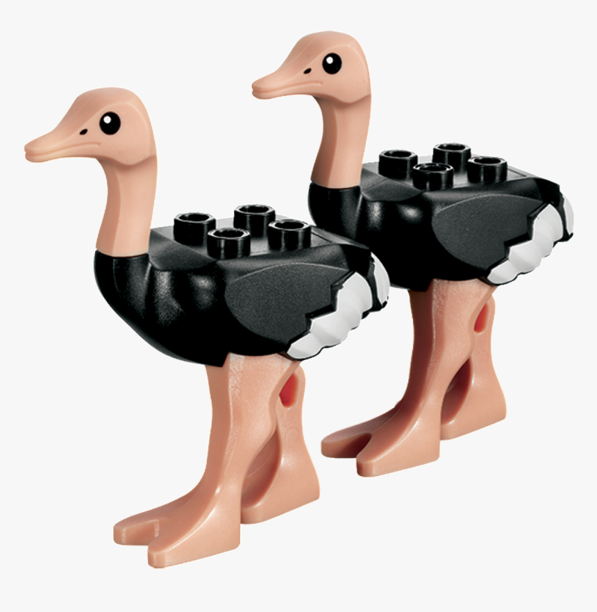 Ostrichs - Lego Ostrich, HD Png Download