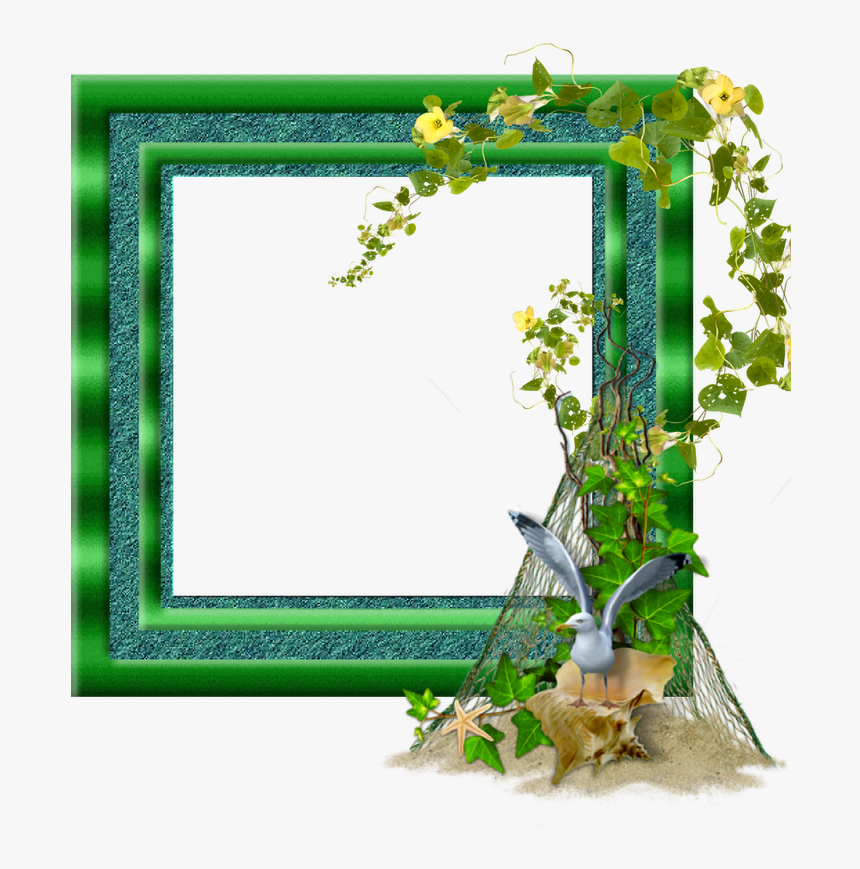 Bordas E Molduras - Frame, HD Png Download