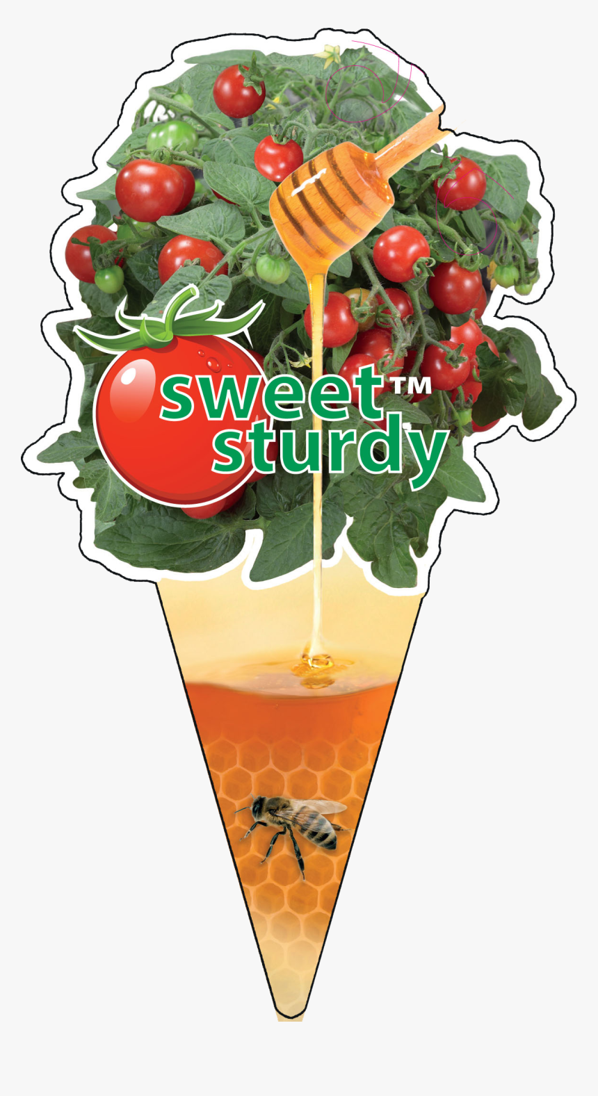 Click To Enlarge Image 3 Sweet Sturdy F1 Jimmy - Bacardi Cocktail, HD Png Download