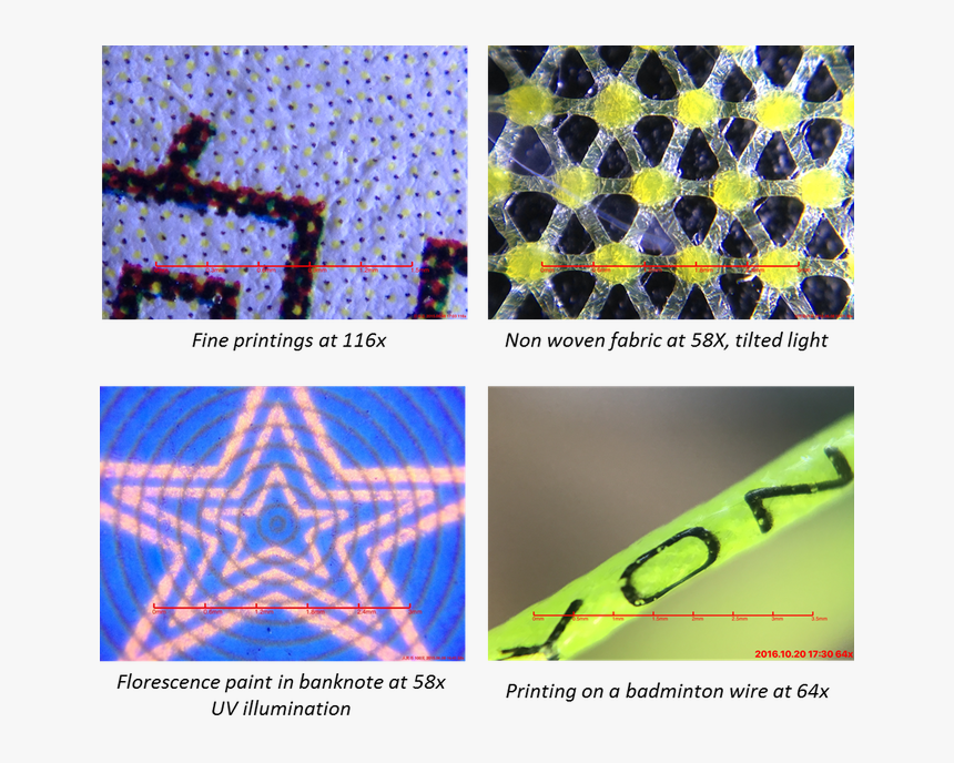 Scale Bar, Plus A Dedicated App That Allows The User - Graphic Design, HD Png Download