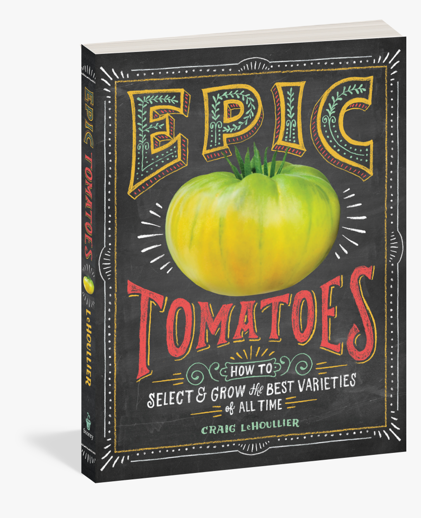 Cover - Pattypan Squash, HD Png Download