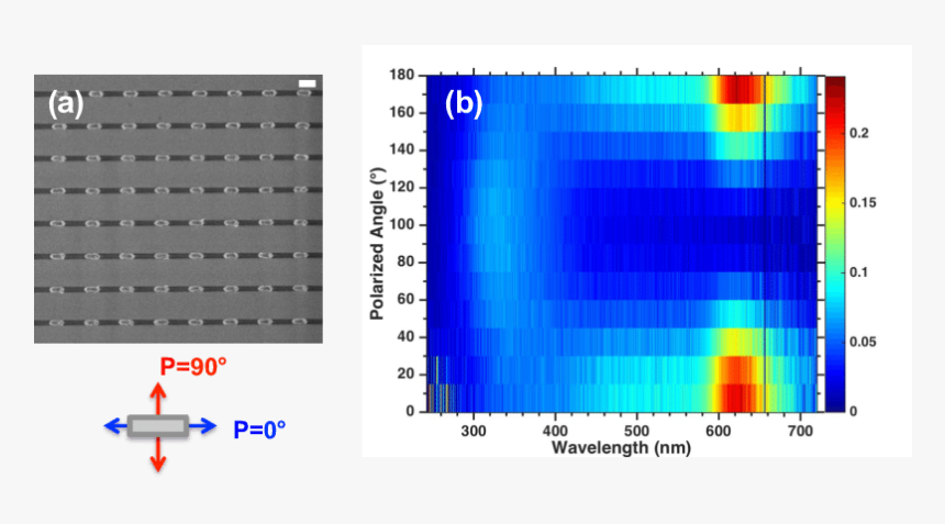 Screenshot, HD Png Download