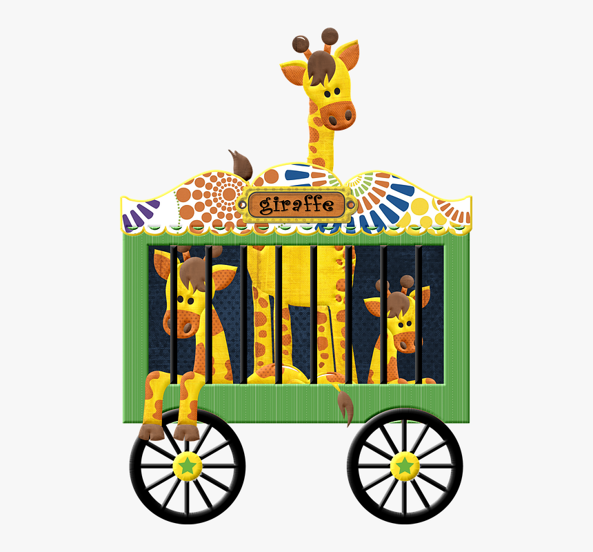 Animals, Giraffe, Circus, Zoo, Wildlife, Spotted - Girafa Circo Png, Transparent Png