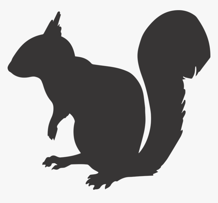 Squirrel, Silhouette, Animal, Mammal, Rodent, Nature - Squirrel Silhouette Png, Transparent Png