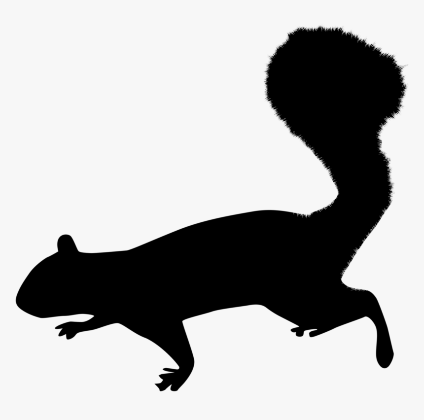Squirrel Silhouette Png, Transparent Png