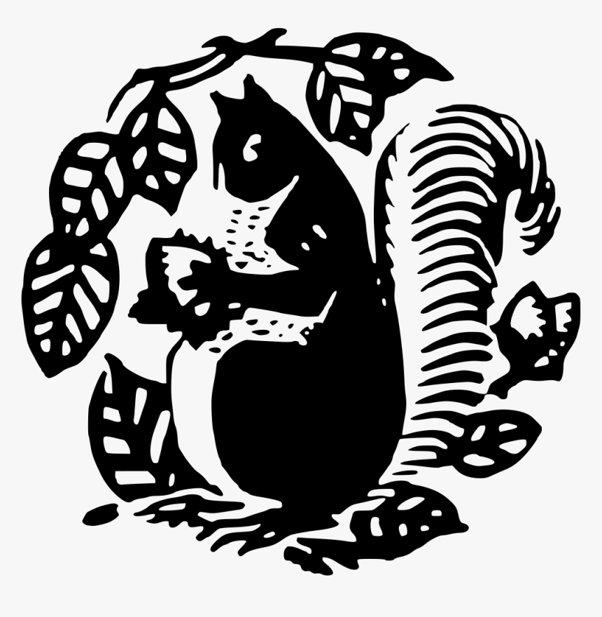 Squirrel Silhouette - Silhouette, HD Png Download