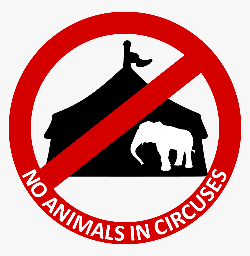 No Animals In Circuses, HD Png Download