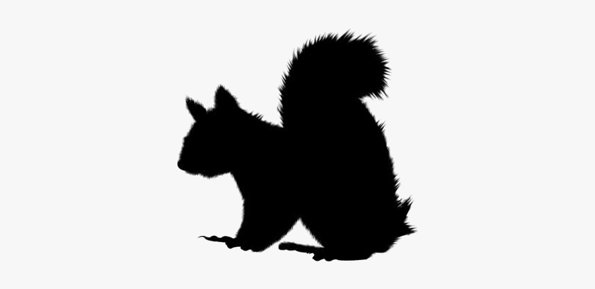 Ardilla Con Fondo Transparente, HD Png Download