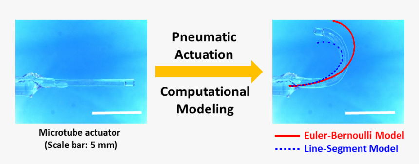 Actualizacion Profesional, HD Png Download
