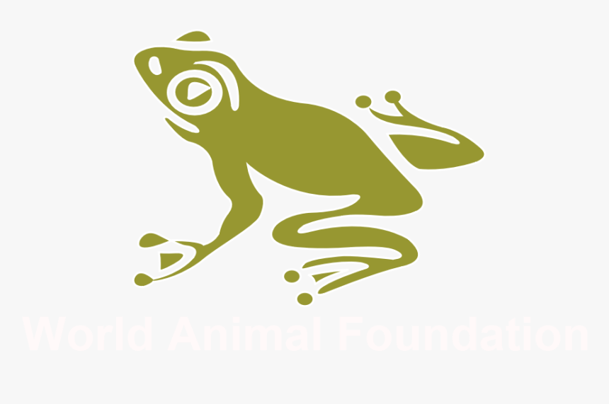 World Animal Foundation, HD Png Download