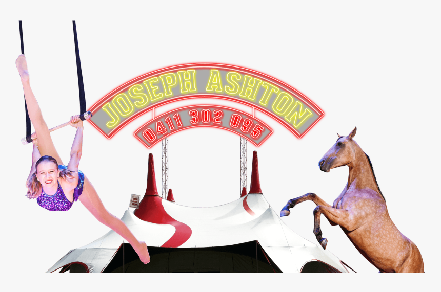 Circus - Circus Joseph Ashton, HD Png Download